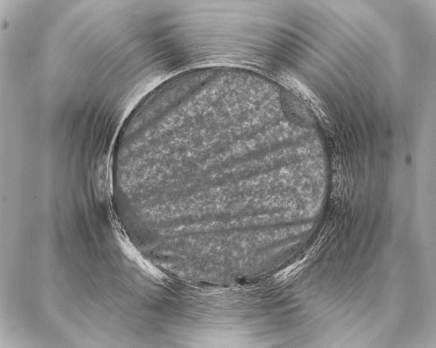 X0000087360892200705111642