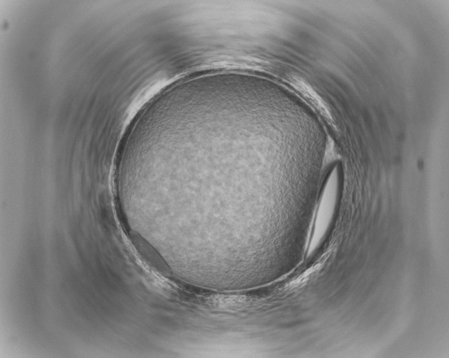 X0000087360893200705111642