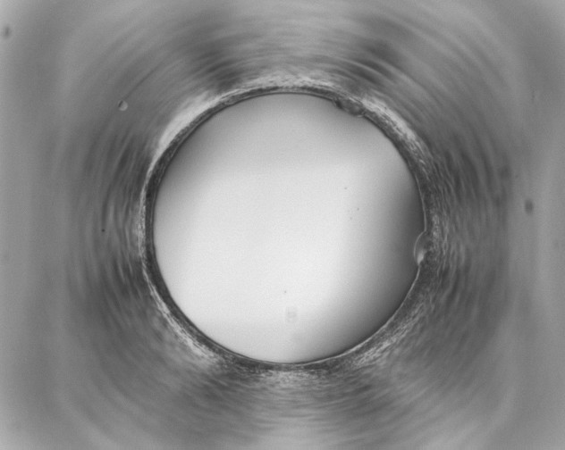 X0000087360894200705111642