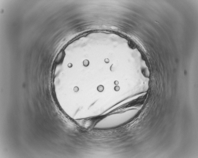 X0000087360895200705111642