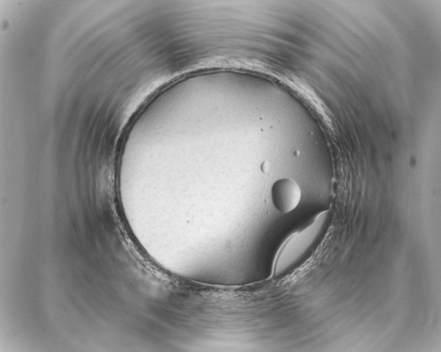 X0000087360896200705111642