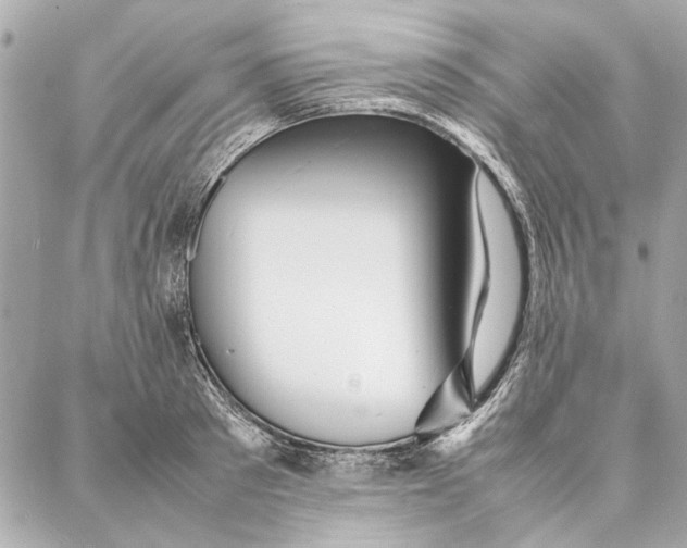 X0000087360897200705111642