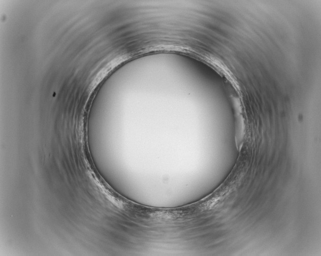 X0000087360898200705111642