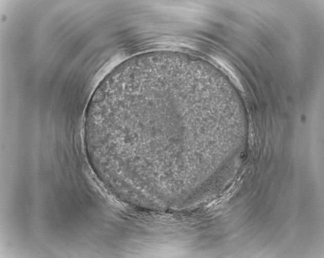 X0000087360899200705111642