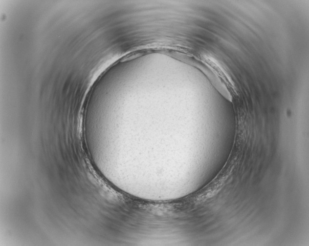 X0000087360900200705111642