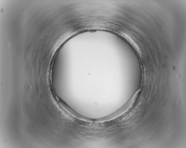 X0000087360901200705111642