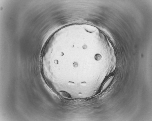 X0000087360903200705111642