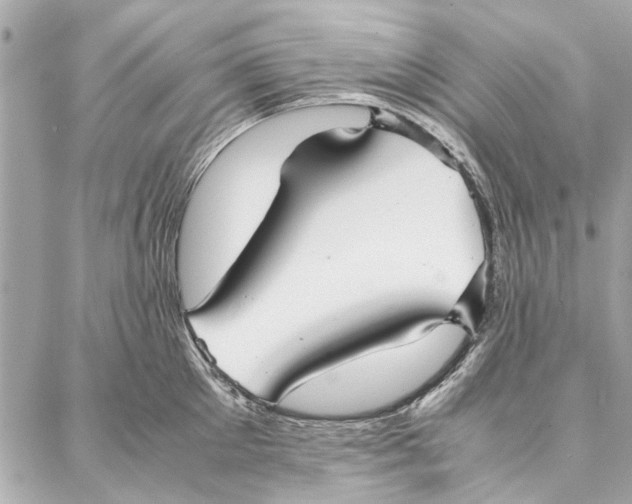 X0000087360905200705111642