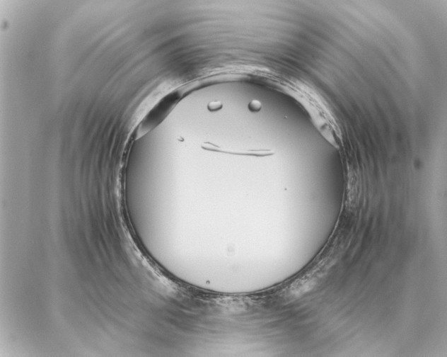 X0000087360906200705111642