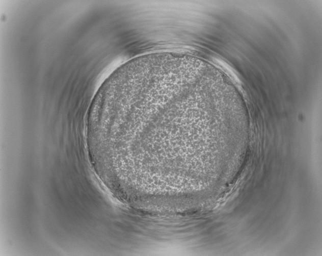 X0000087360907200705111642