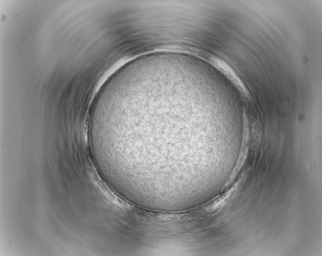 X0000087360908200705111642