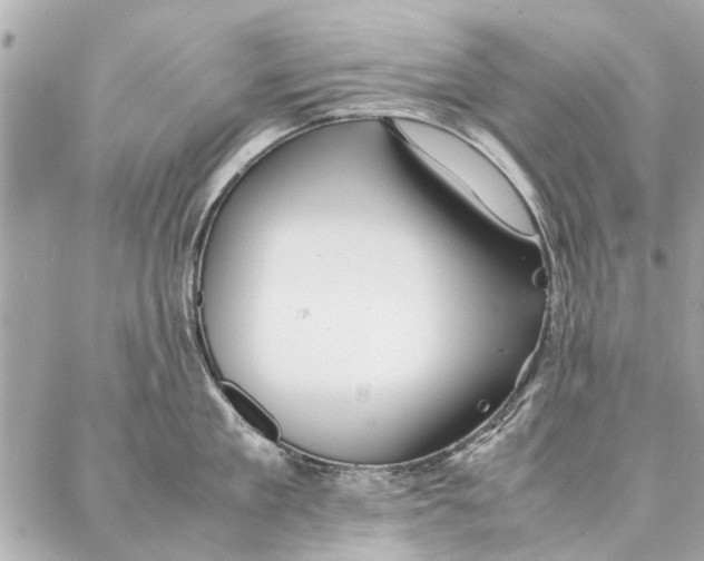 X0000087360909200705111642