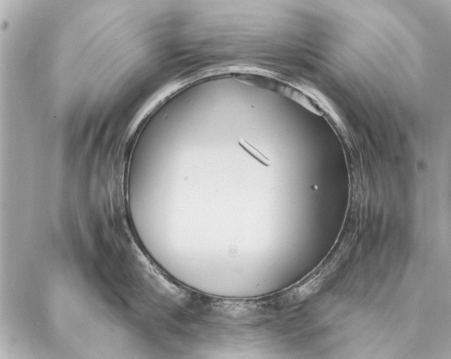 X0000087360910200705111642