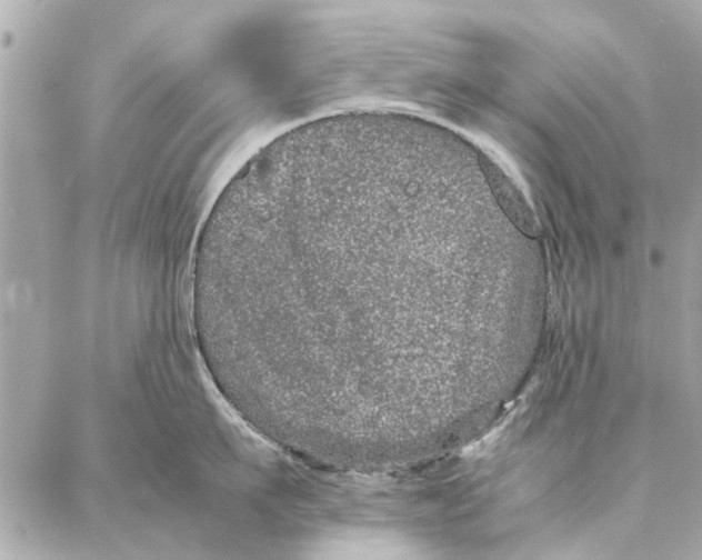 X0000087360911200705111642