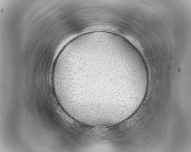 X0000087360912200705111642