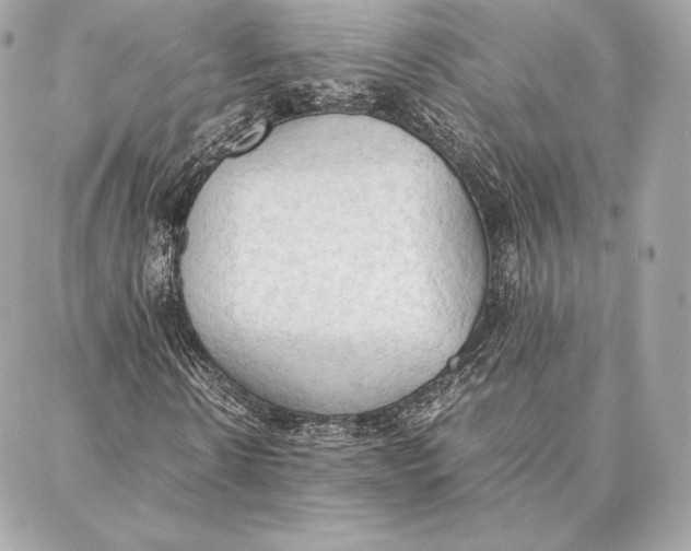 X0000087360914200705111641