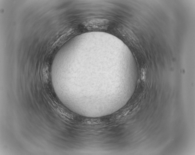 X0000087360915200705111641