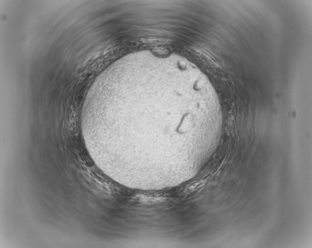 X0000087360917200705111641