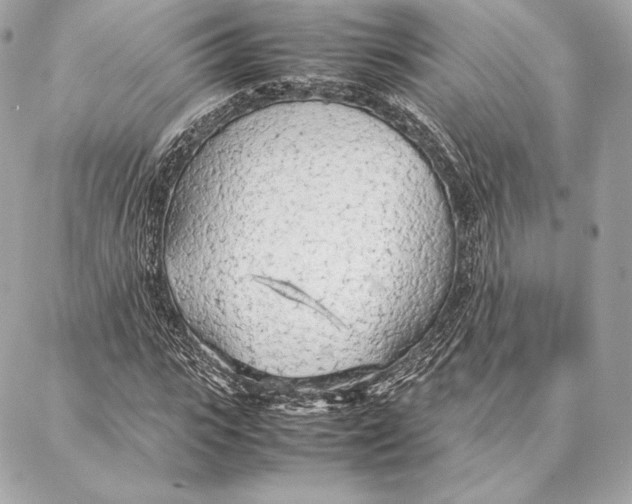 X0000087360919200705111641