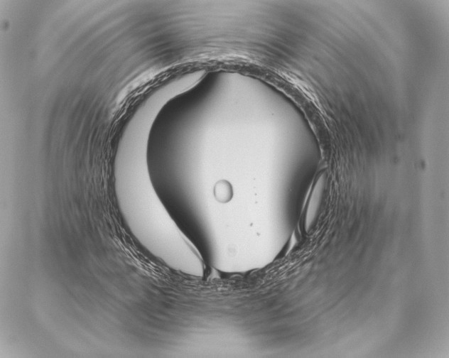 X0000087360920200705111641