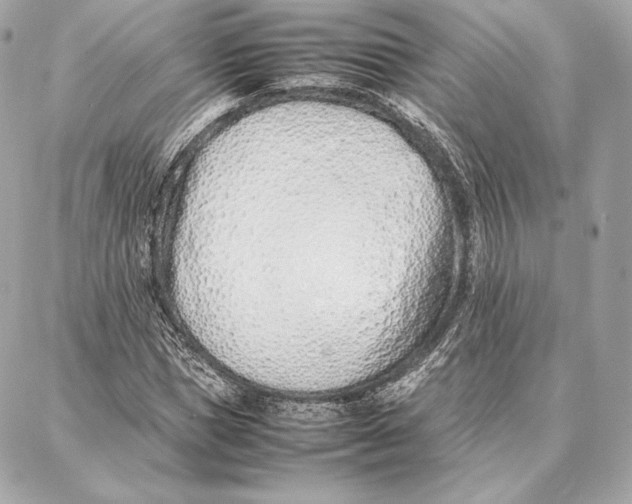 X0000087360921200705111641