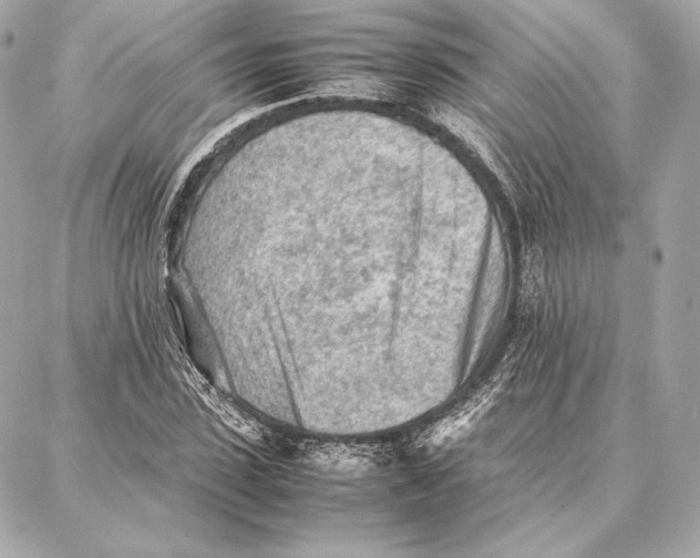 X0000087360923200705111641