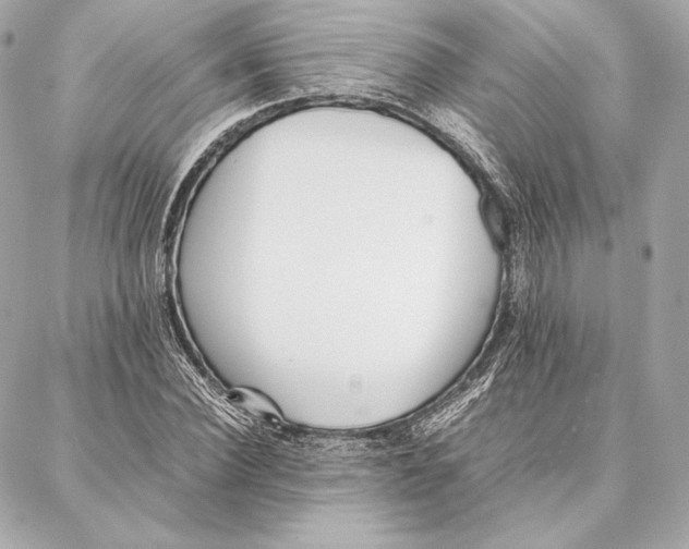 X0000087360924200705111641