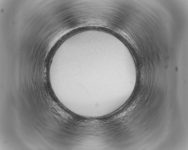 X0000087360926200705111641