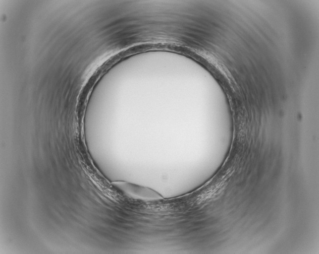 X0000087360927200705111641