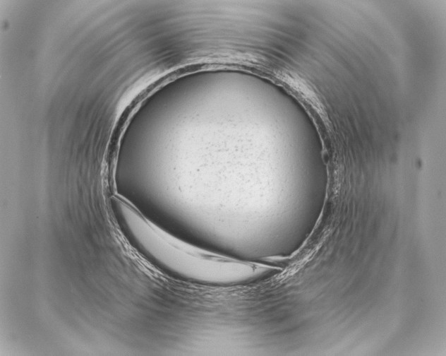 X0000087360928200705111641