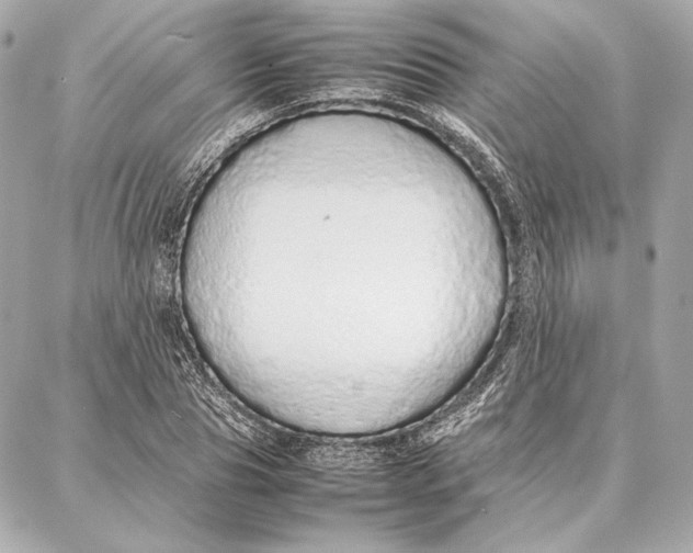 X0000087360929200705111641