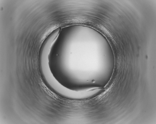 X0000087360930200705111641