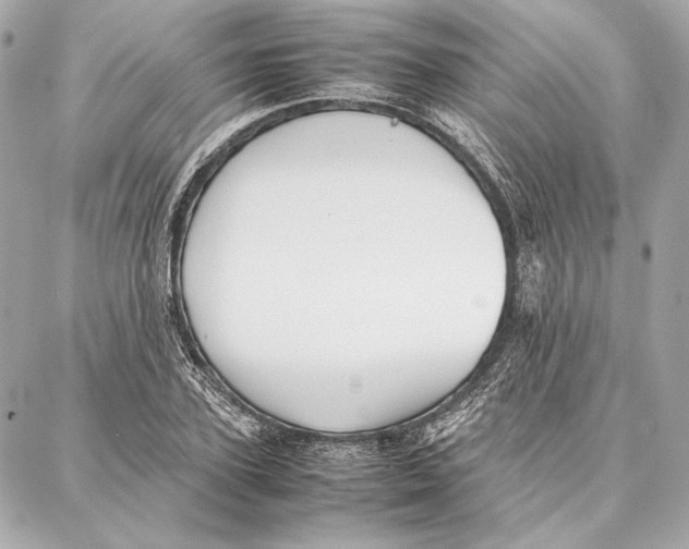 X0000087360931200705111641