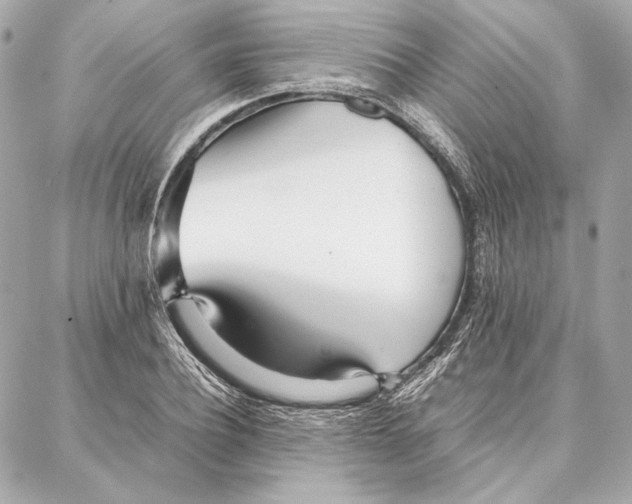 X0000087360932200705111641