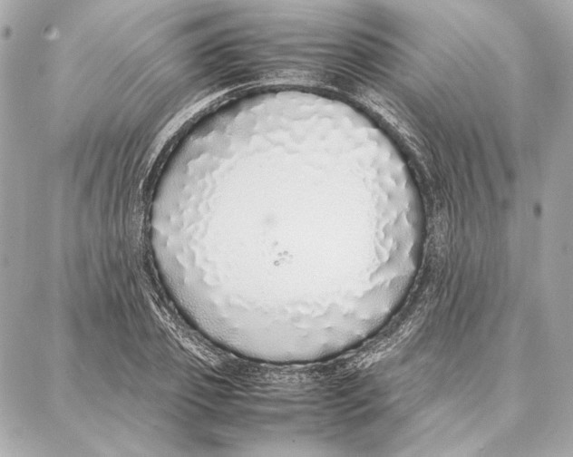 X0000087360933200705111641