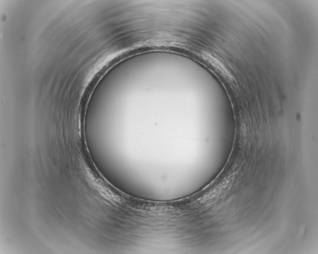 X0000087360934200705111641