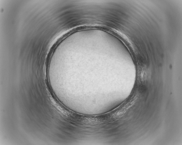 X0000087360935200705111641