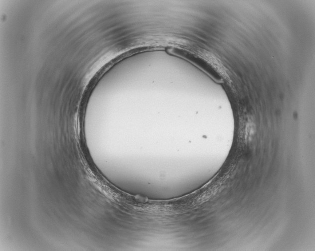 X0000087360936200705111641