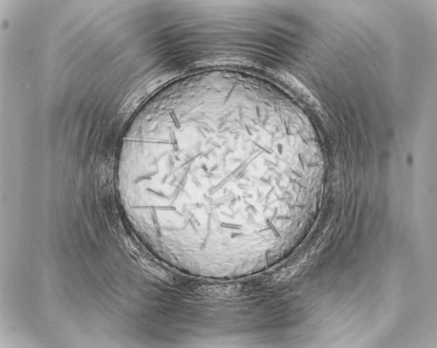 X0000087360937200705111641