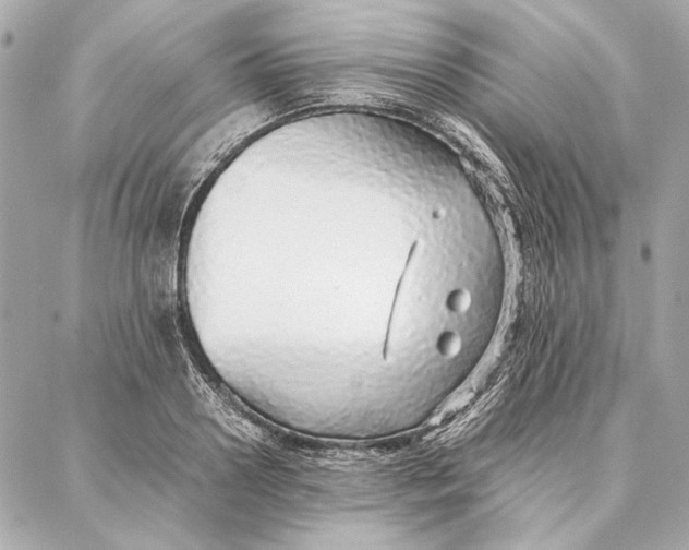 X0000087360938200705111641