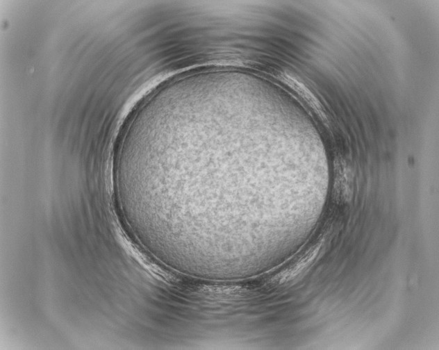 X0000087360939200705111641