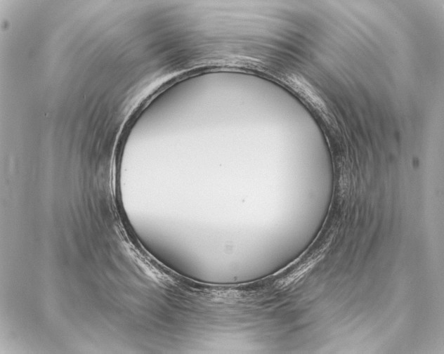 X0000087360940200705111641