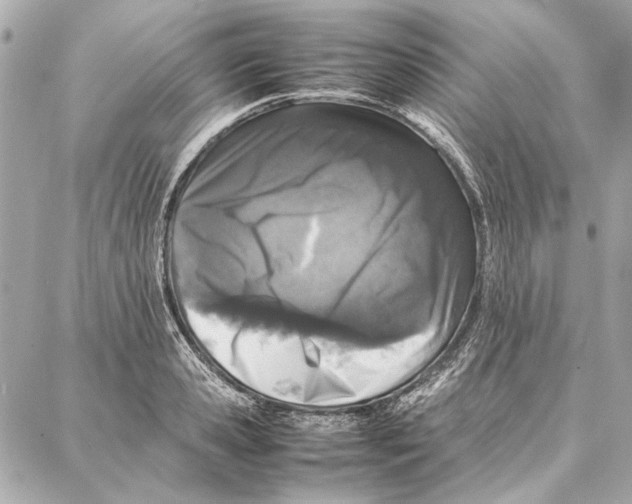 X0000087360941200705111641