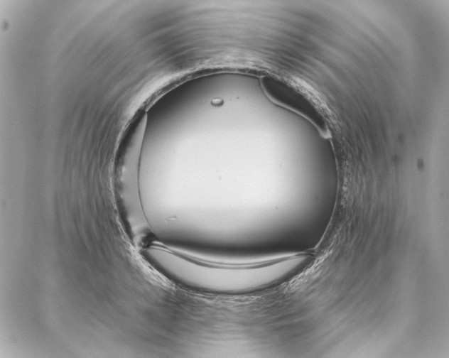 X0000087360942200705111641