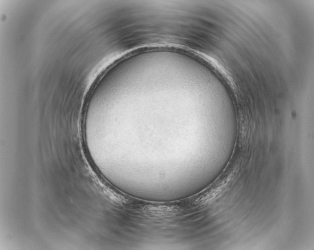 X0000087360943200705111641