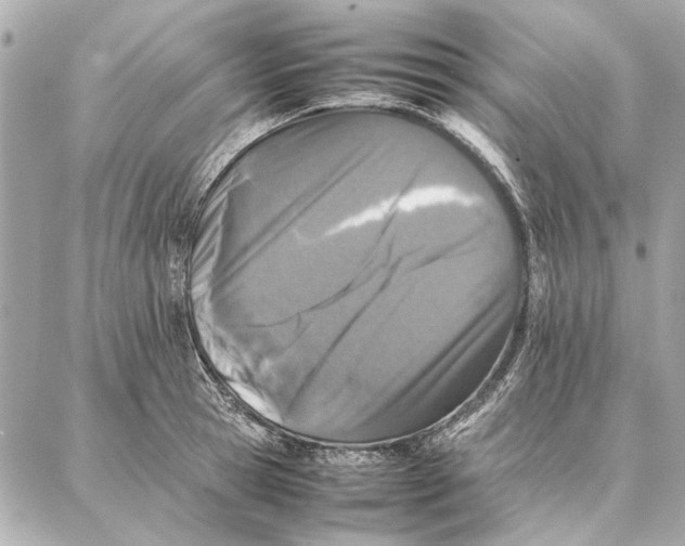 X0000087360945200705111641