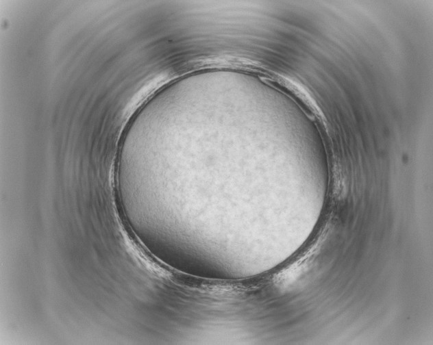 X0000087360946200705111641