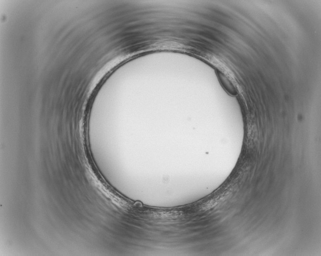 X0000087360947200705111641