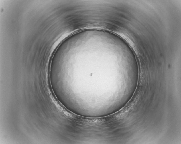 X0000087360949200705111641