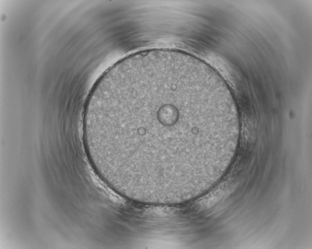 X0000087360950200705111641